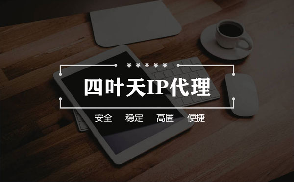 【东阳代理IP】如何快速搭建代理IP？怎么检查代理的效果？